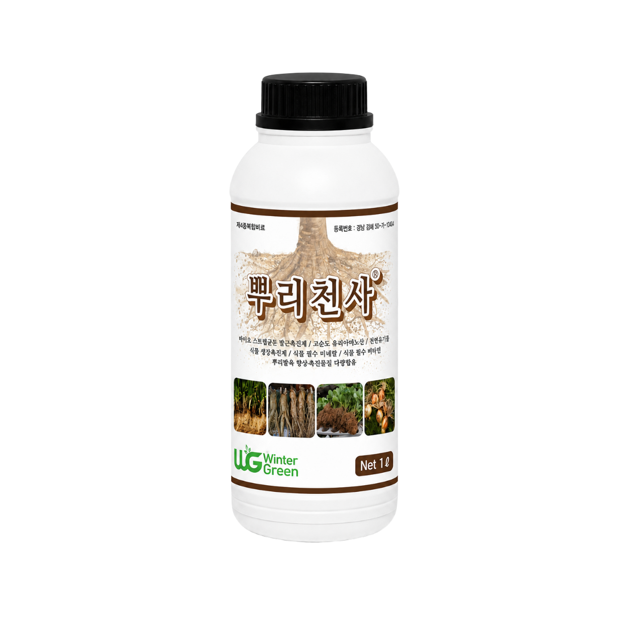뿌리천사